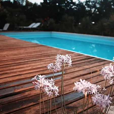 فندق مبيت وإفطار Trulli Jaja