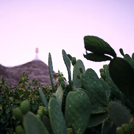 Trulli Jaja