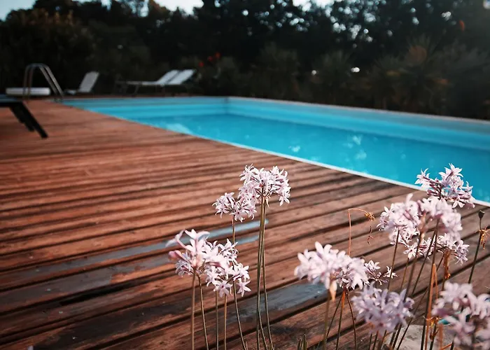 Bed & Breakfast Trulli Jaja